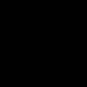 Meet your Posher, Isaiah